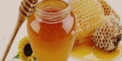 عسل النحل غذاء و دواء 3